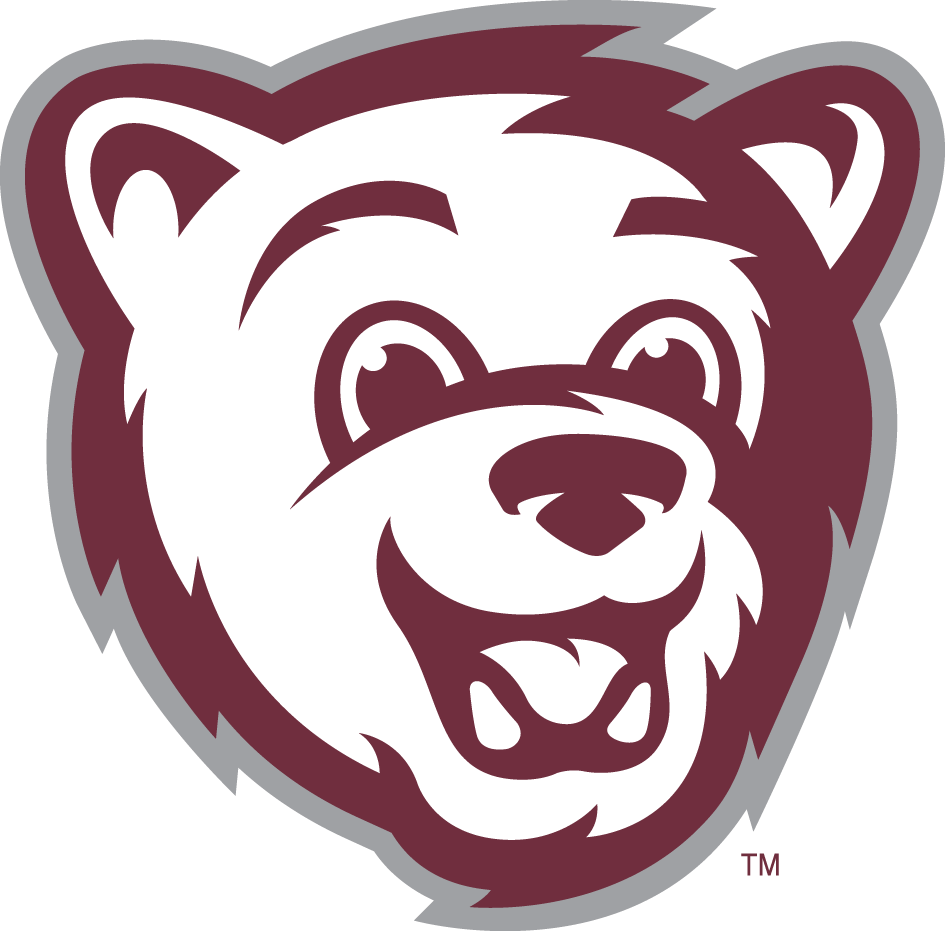 Montana Grizzlies 2010-Pres Mascot Logo v2 diy DTF decal sticker